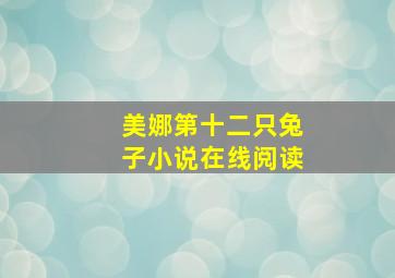 美娜第十二只兔子小说在线阅读